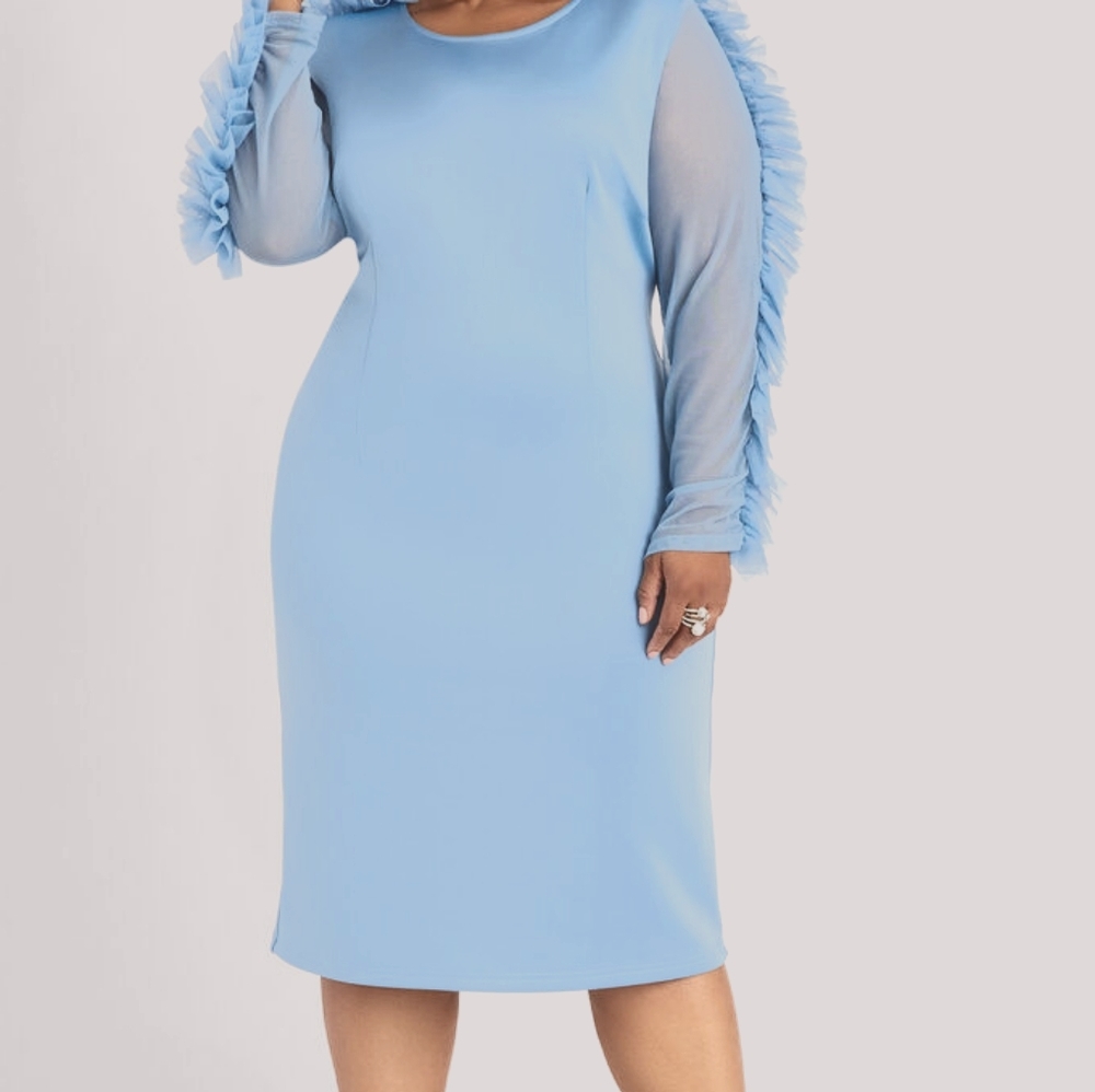 Mesh Ruffle Bodycon Plus Size Dress
